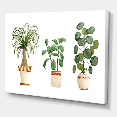 Designart - Trio of House Plants Ponytail Palm and Ficus