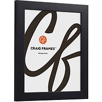 4 Pack: Craig Frames Essentials Modern Black Picture Frame