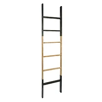 5.5ft. Decorative Leaning Ladder