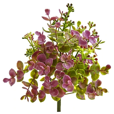 Purple & Green Eucalyptus & Sedum Plant, 12ct.