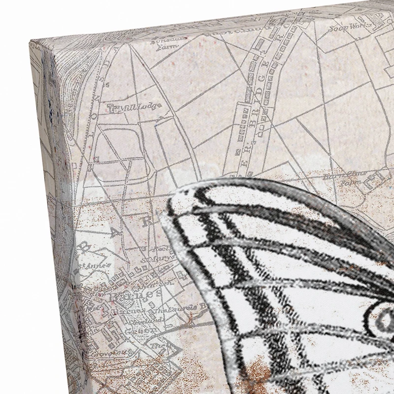 Midday Flight 20" x 20" Canvas Wall Art