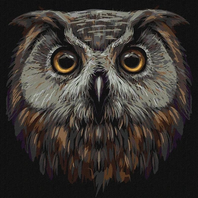 Ideyka Bird of Wisdom Painting by Numbers Kit