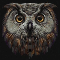 Ideyka Bird of Wisdom Painting by Numbers Kit