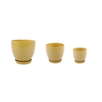 Flora Bunda® Mustard Hiero Ceramic Pot On Saucer Set, 3ct.