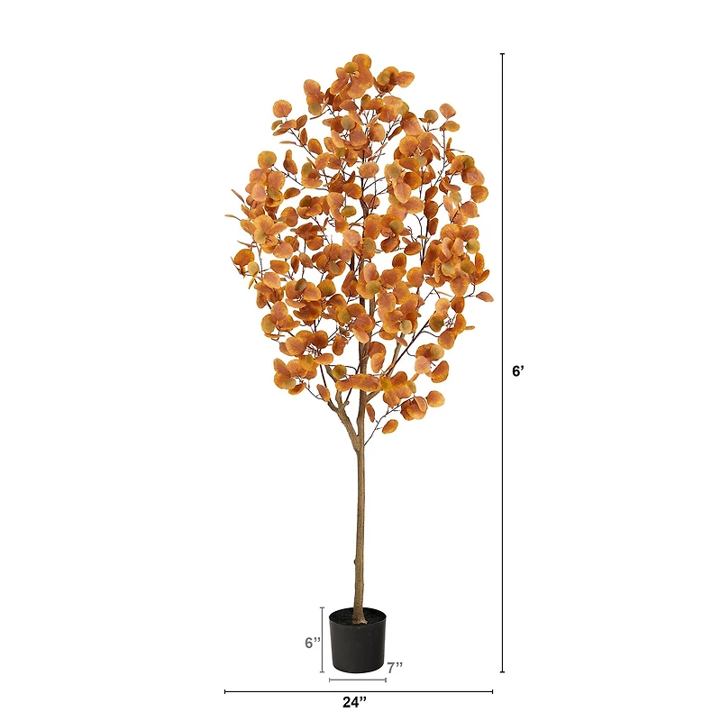6ft. Potted Autumn Eucalyptus Tree