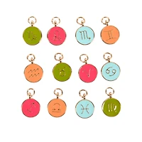 Zodiac Enamel Charm Set by Bead Landing™