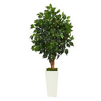 4ft. Ficus Tree in White Tower Planter