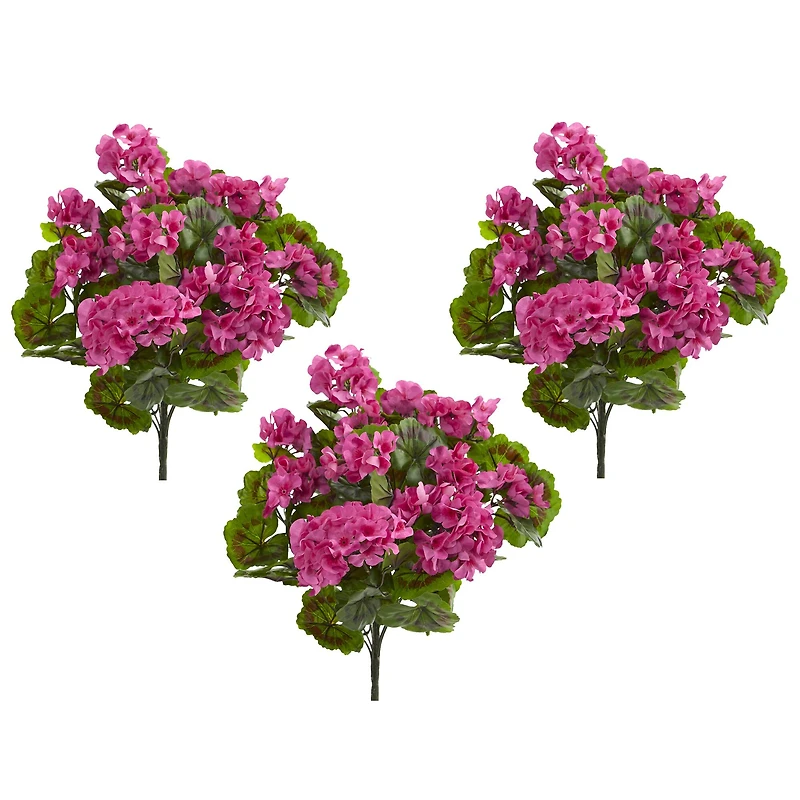 Pink & Green Geranium Bush, 3ct.