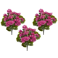 Pink & Green Geranium Bush, 3ct.