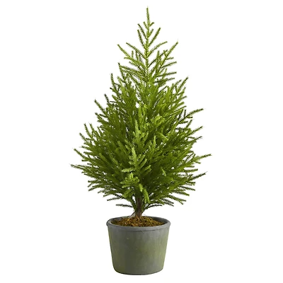 3ft. Unlit Norfolk Island Pine Artificial Potted Christmas Tree