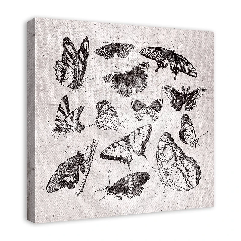 Grayscale Butterflies 24" x 24" Canvas Wall Art