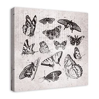 Grayscale Butterflies 24" x 24" Canvas Wall Art