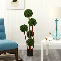 4ft. Potted Boxwood Topiary Tree