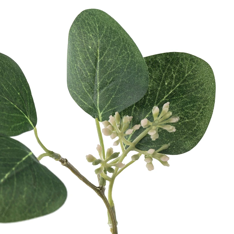 Assorted Green Eucalyptus & Berry Pick by Ashland®