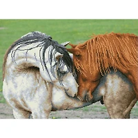 Diamond Dotz® Advanced Courtship Diamond Painting Kit