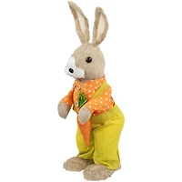 16" Orange & Green Standing Boy Rabbit with Carrot Easter Figure