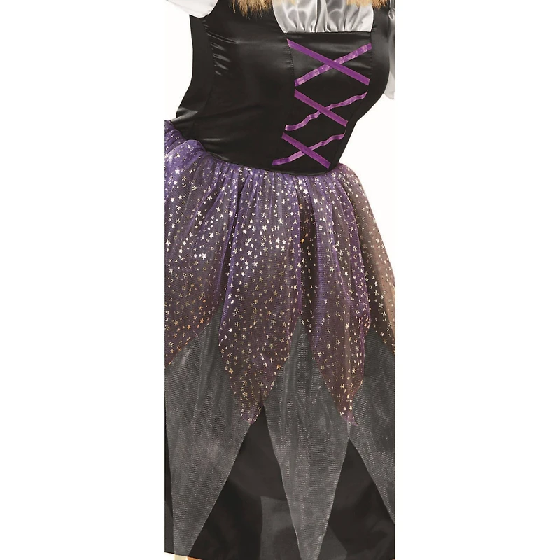 Medium Black & Purple Witch Women's Costume