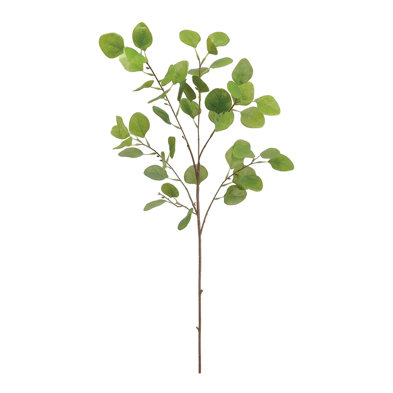 Eucalyptus Leaf Spray