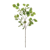 Eucalyptus Leaf Spray 