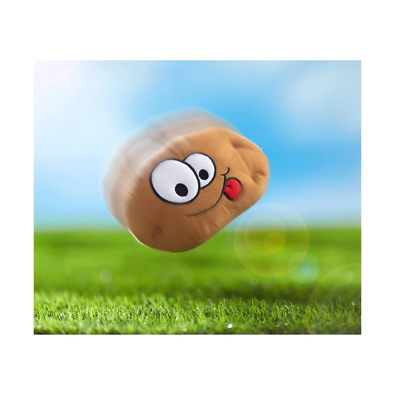 Electronic Hot Potato Game