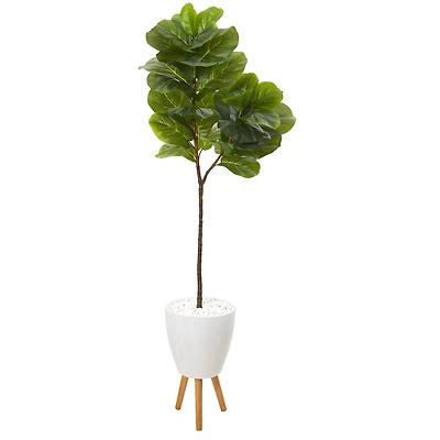 5.5ft. Fiddle Leaf Tree in White Planter with Stand