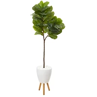 5.5ft. Fiddle Leaf Tree in White Planter with Stand