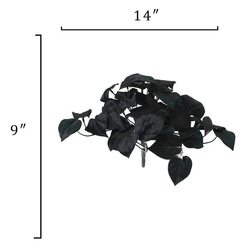 14" Black Philodendron Bush by Ashland®