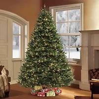 7.5ft. Pre-Lit Fraser Fir Majestic Artificial Christmas Tree, Clear LED Lights