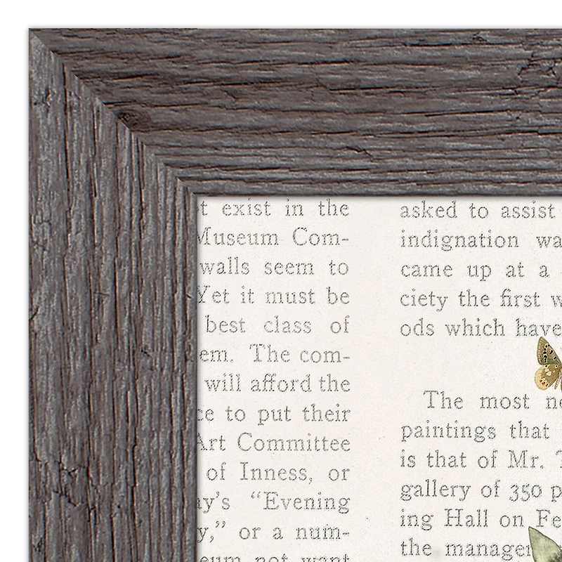 Whimsical Deer Western Framed Print