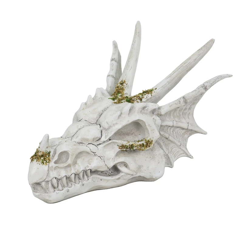 11" Dragon Skull Tabletop Décor by Ashland®