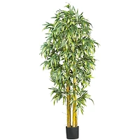 6ft. Potted Big Bamboo Tree 