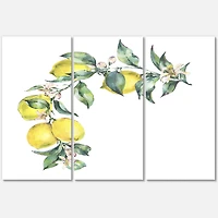 Designart - Branch of Yellow Lemons and Leaves II
