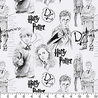 Camelot Fabrics Harry Potter Mystery Magic Cotton Precut, 4ct.