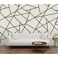 Katie Hunt Black on Dove Gray Modern Lines Wall Mural
