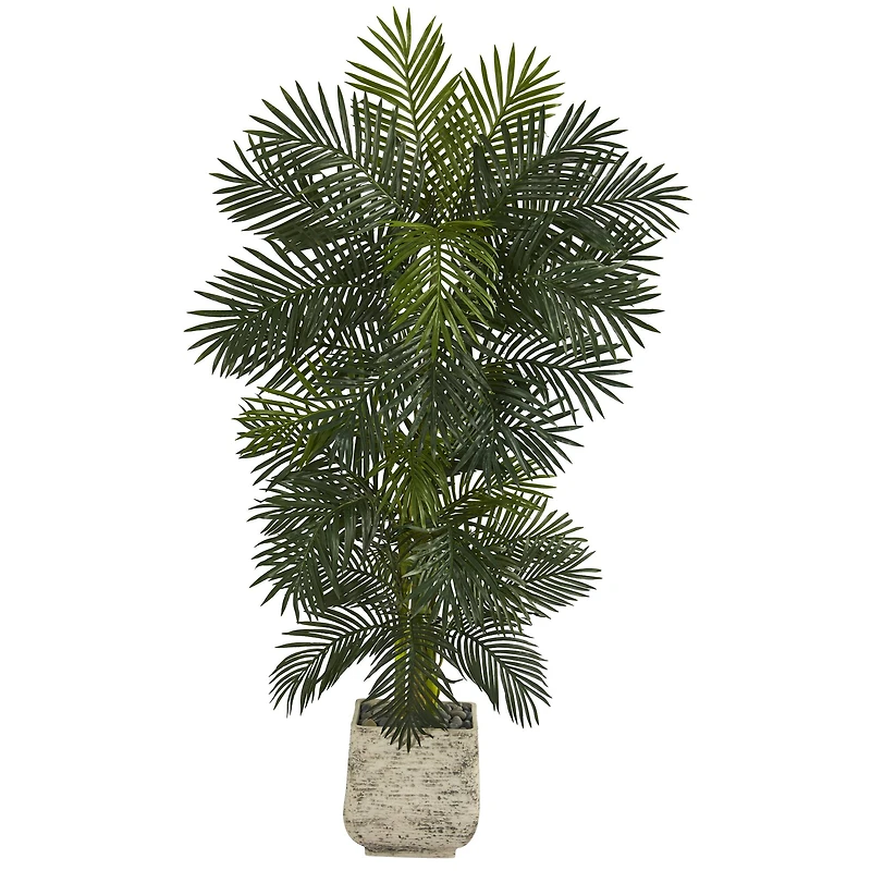 6.5ft. Golden Cane Palm Tree in White Planter
