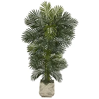 6.5ft. Golden Cane Palm Tree in White Planter