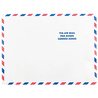 JAM Paper 10" x 13" White Airmail Tyvek Envelopes, 25ct.