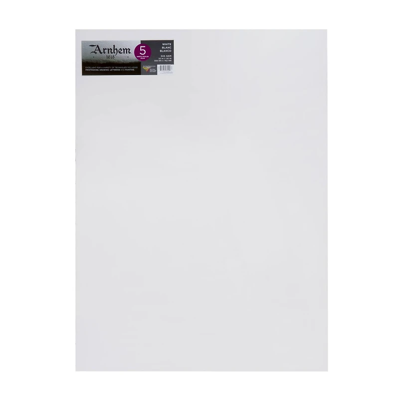 Speedball® Arnhem® 1618 White Paper Sheets, 22" x 30"