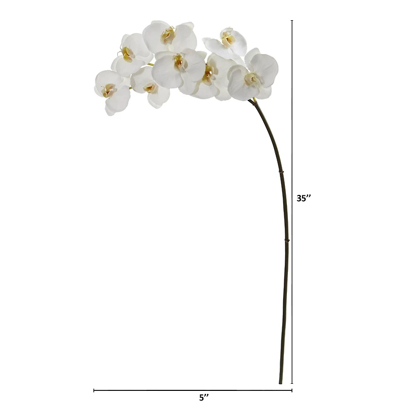 35" Phalaenopsis Orchid Artificial Flower (Set of 6)