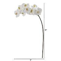 35" Phalaenopsis Orchid Artificial Flower (Set of 6)