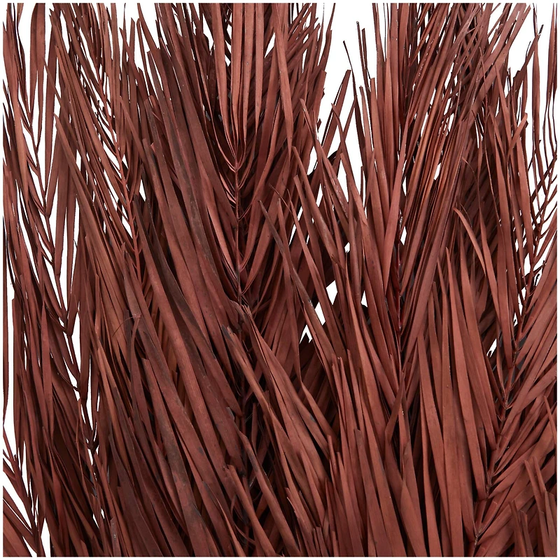 43" Natural Dried Plant Palm Leaf Bunch with Feather-Inspired Stems