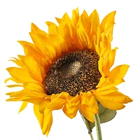 Gold Sunflower Stem by Ashland