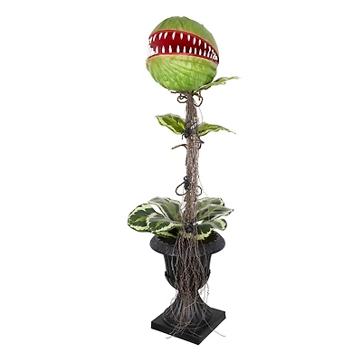 46" Venus Flytrap in Black Urn by Ashland®