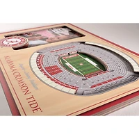 College Football 3D StadiumViews Picture Frame