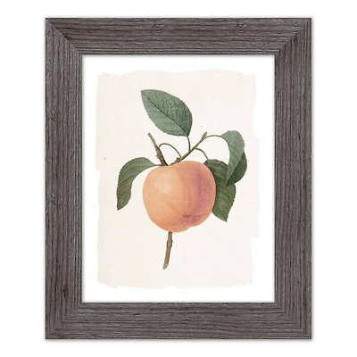 Framed Western Vintage Peach Print