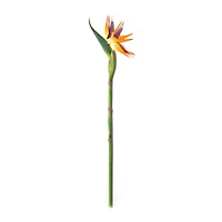 Tropical Bird of Paradise Stem by Ashland® 