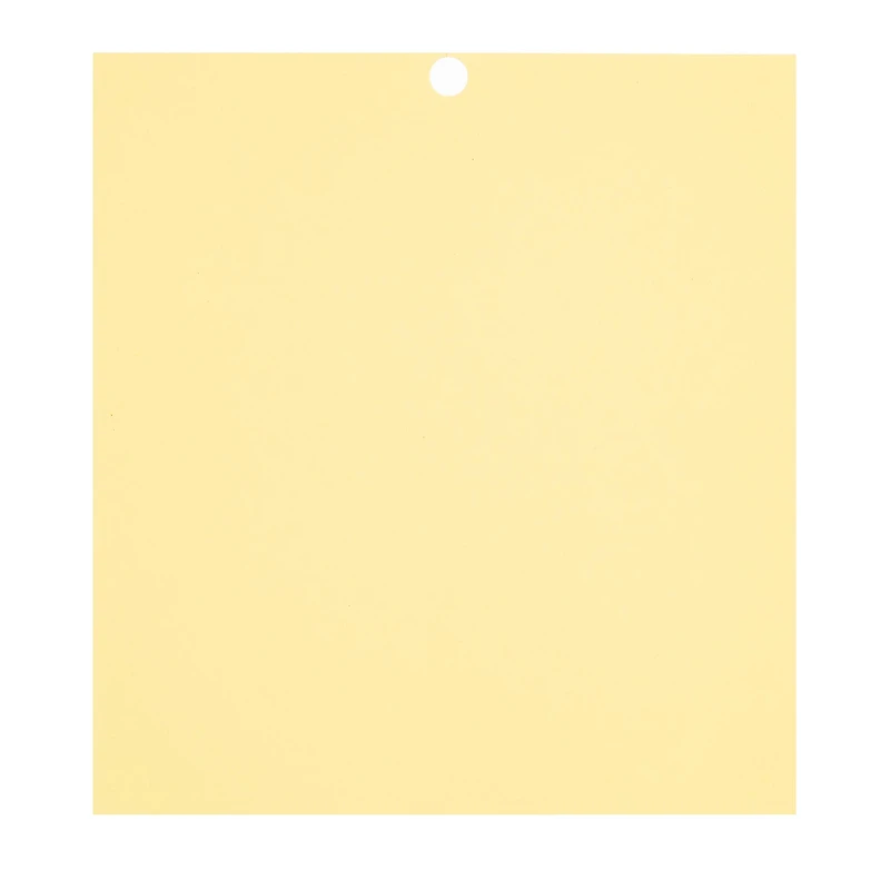 Citrus 6" x 6.5" Cardstock Paper by Recollections™, 100 Sheets
