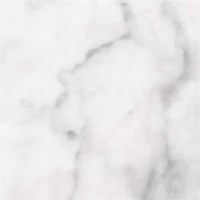 WallPops Gallo Peel & Stick Wall Tiles