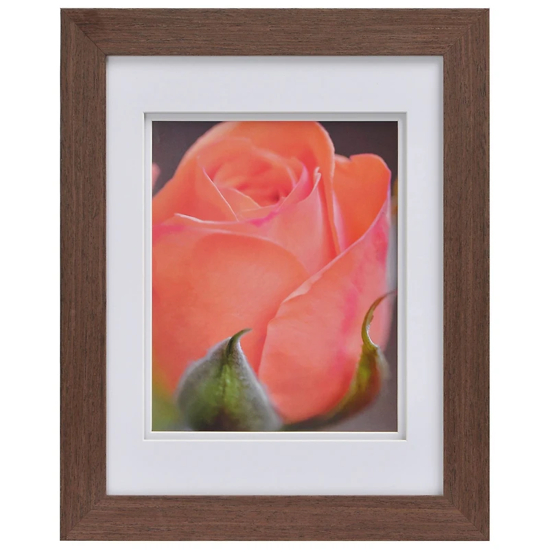 Gallery™ Medium Brown Frame with Mat by Studio Décor
