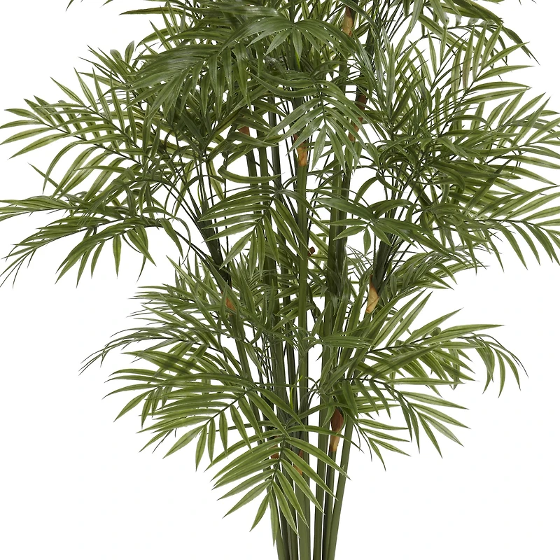 4ft. Potted Parlour Palm Tree